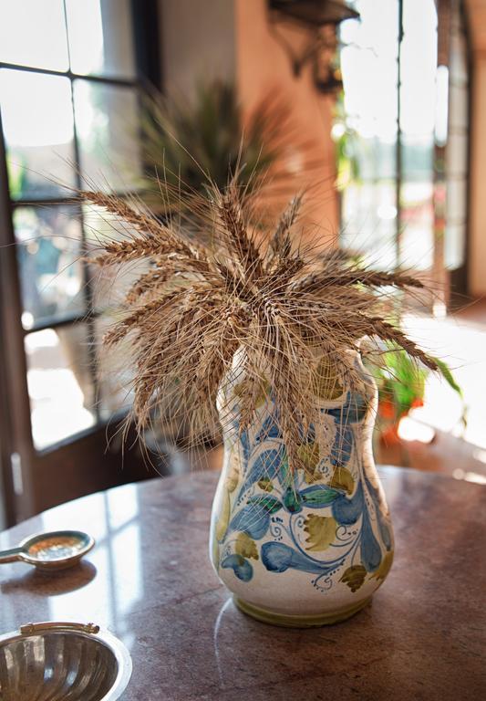 Вилла Don Carlo Agriturismo Di Charme Bio Le Pioppe Экстерьер фото
