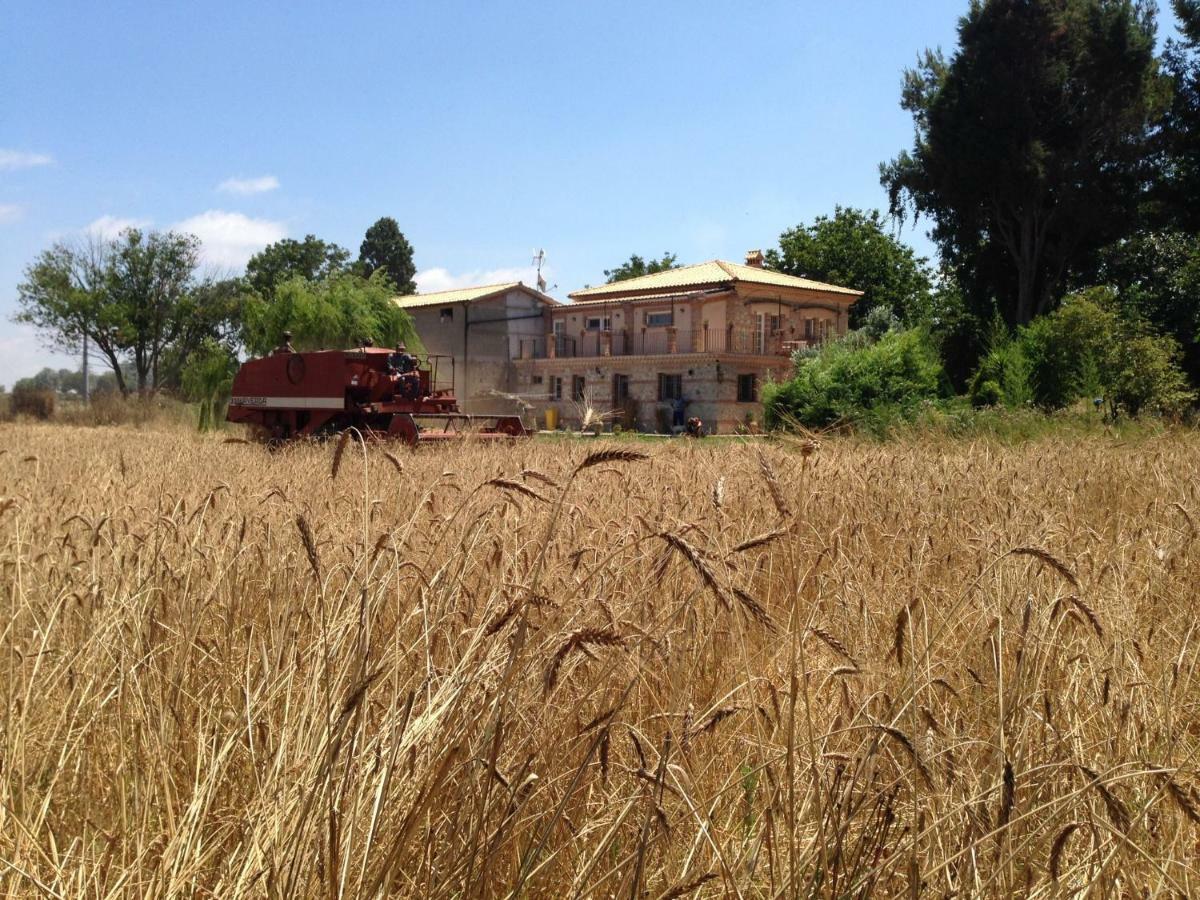 Вилла Don Carlo Agriturismo Di Charme Bio Le Pioppe Экстерьер фото